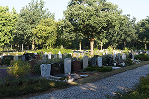 Begraafplaats Daelwijck